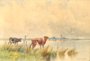 Ball-Watering Cows-cropped